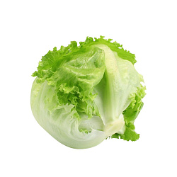 Салат «Айсберг» шт.