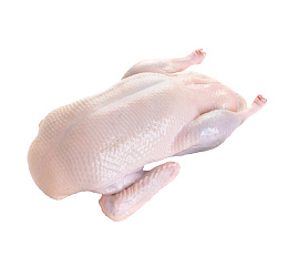 Утка фермерская. Тушка ~1,8 кг.