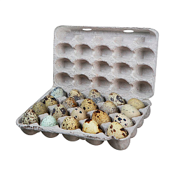 Яйцо перепелиное фермерское ( 20 шт.)